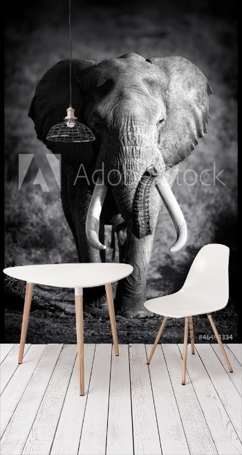 Picture of Elephant Bull Artistic processing